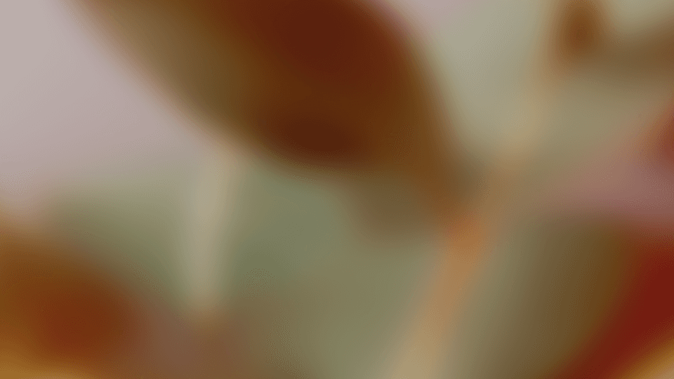 Video Transformation with Aleph